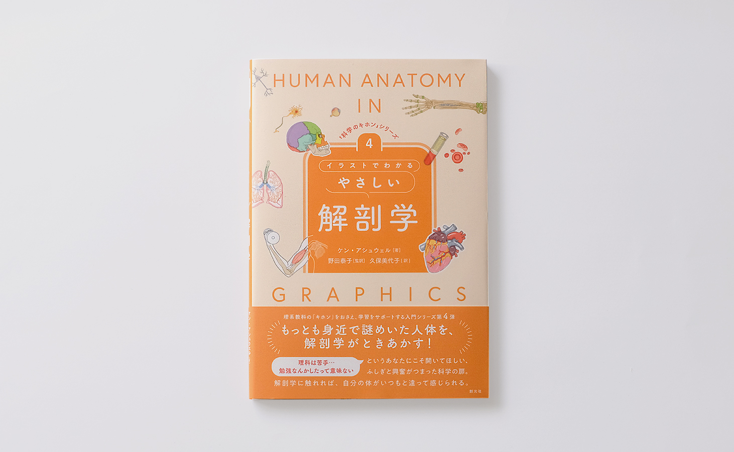 イラストでわかるやさしい解剖学
